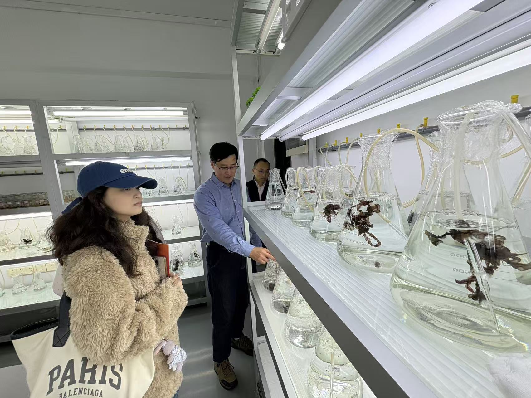 福建集大以采风活动为“媒”，展百年底蕴与新时代活力