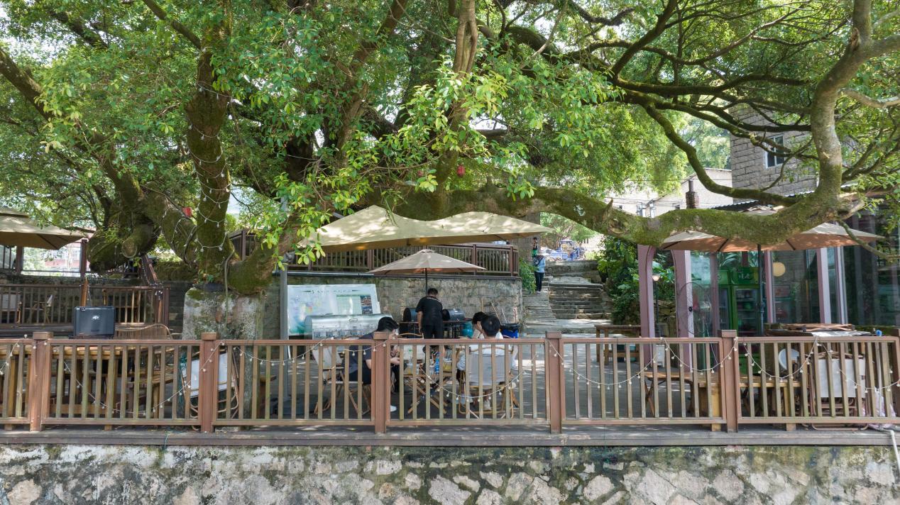 山海统筹绘新卷 城乡共荣谱华章