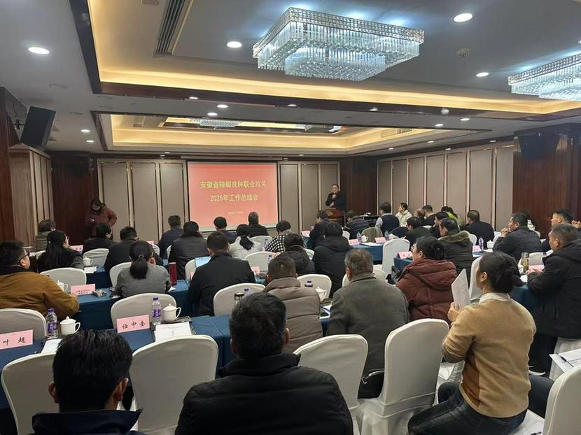 安徽省辣椒良种攻关项目总结会议在合肥召开