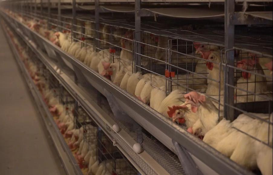 鄂托克旗：盘活闲置资源赋能集体经济高质量发展