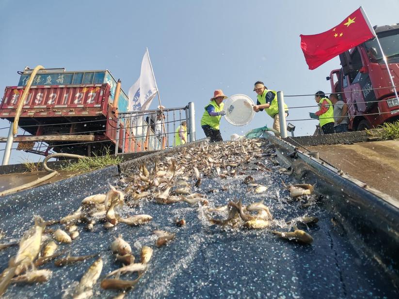 数智向善 大爱同行——苏州互联网慈善书写全民慈善新篇章