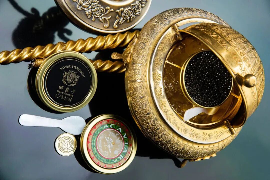 五个故事，看见“十五五”