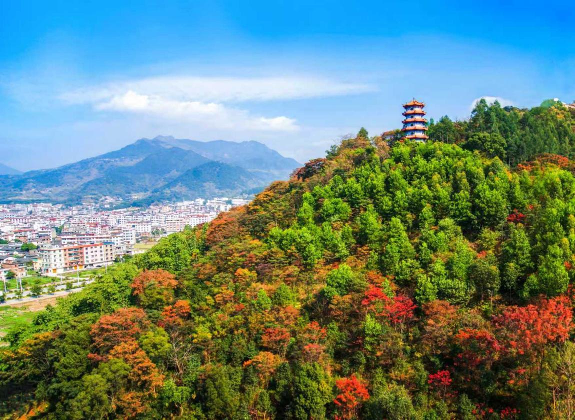 绿满八闽 景美人和——福建持续厚植高质量发展生态本底