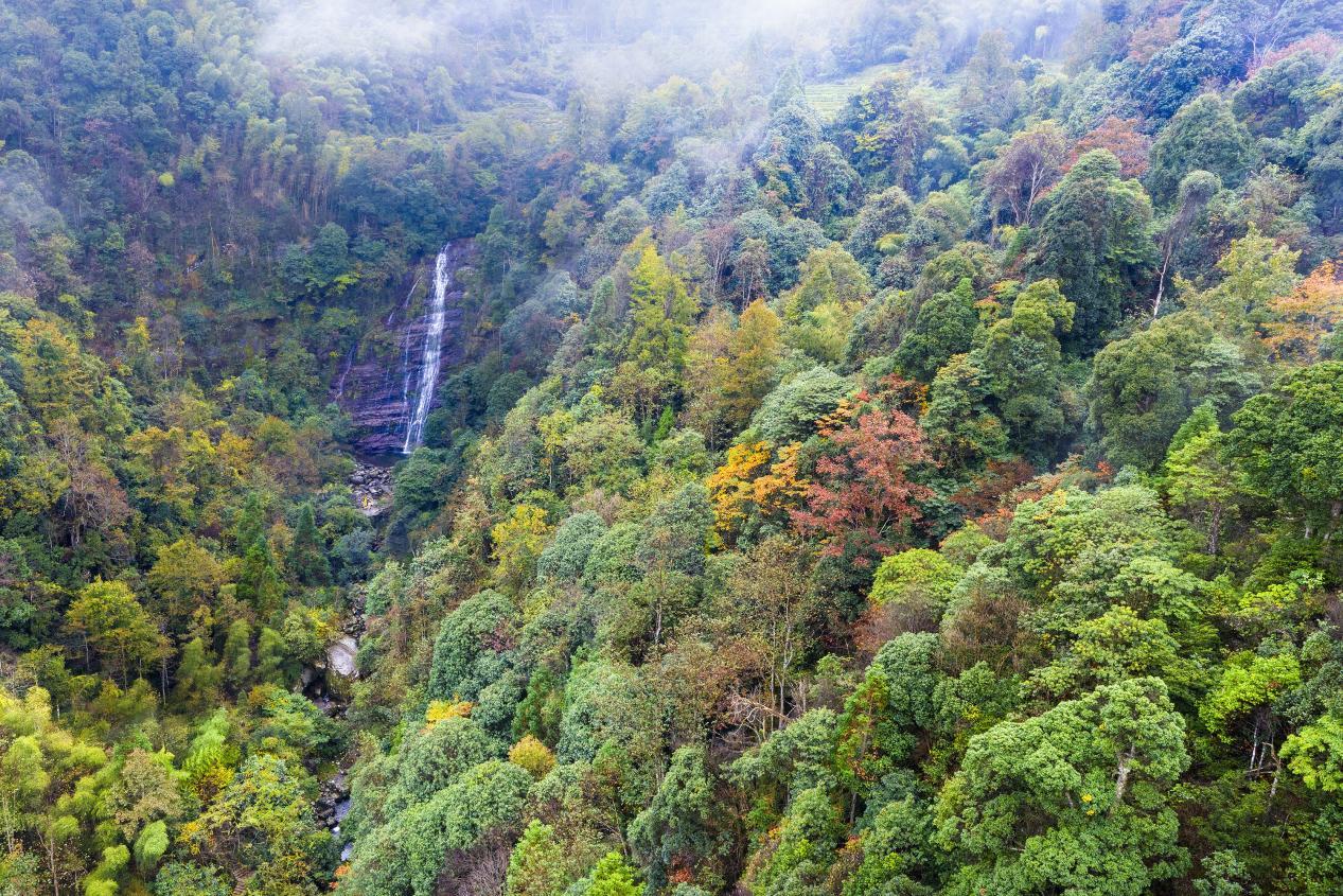筑牢山海生态屏障 守护八闽绿水青山——福建久久为功，持续壮大绿色动能