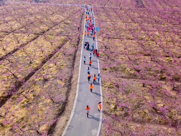 江苏江阴顾山镇：一颗桃，激活产业强镇 “一池春水”