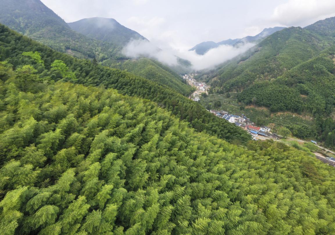 绿色产业迭代升级 兴林富民步履不停——探索福建“四库”联动、绿富同兴的密码