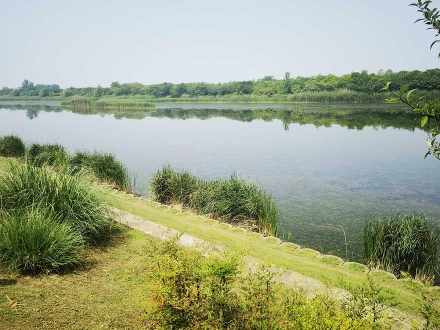 三年攻坚绘就碧水长卷 江宁治水赋能民生福祉