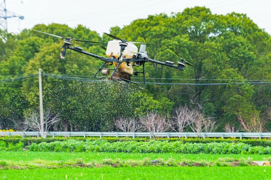 万象“耕”新！苏州浒墅关的春天，处处生机