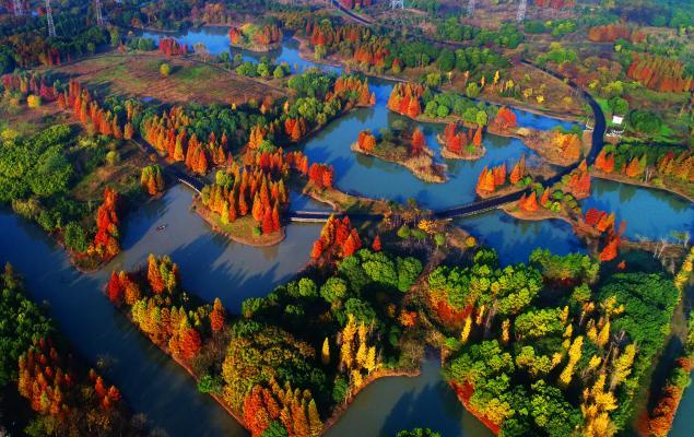 岁月巡路：一条路的四季回想