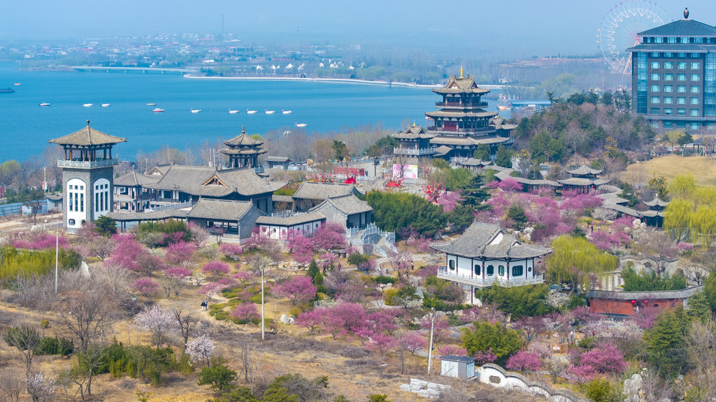 春到磁州 梅绽水墨