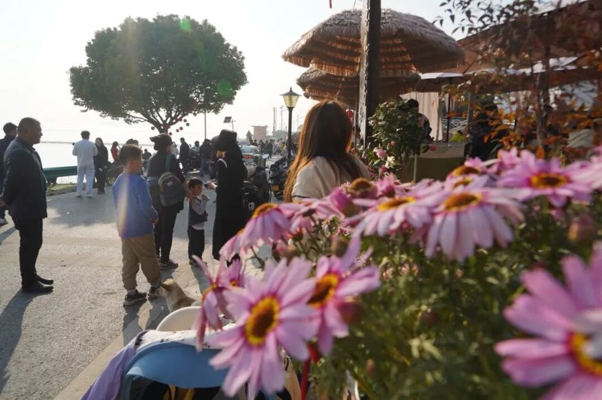 安徽巢湖：乘“宵”而上，让“流量”变“留量”