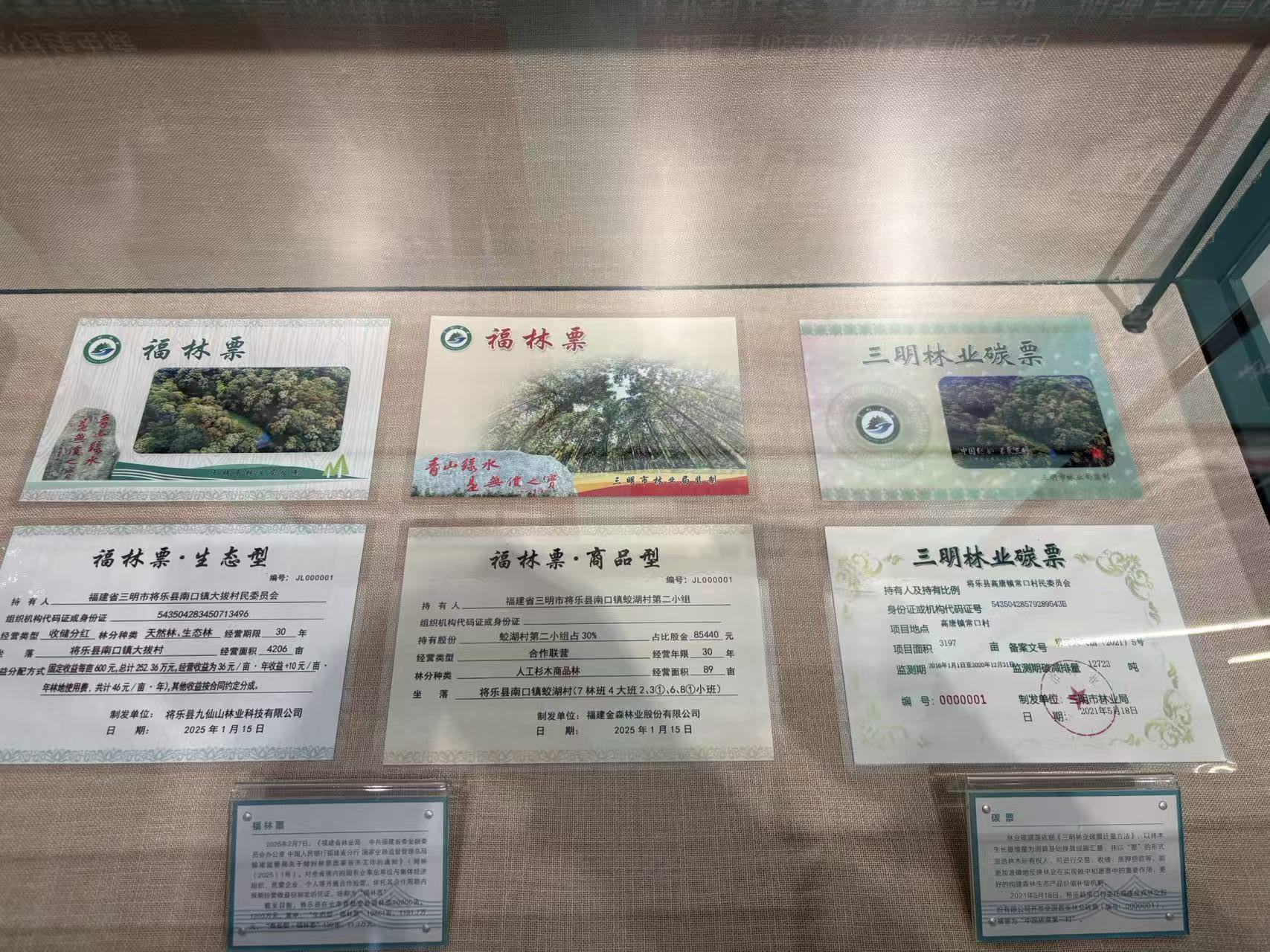 青山“常”在，笑“口”常开——探索绿富同兴的福建将乐县“常口村样板”