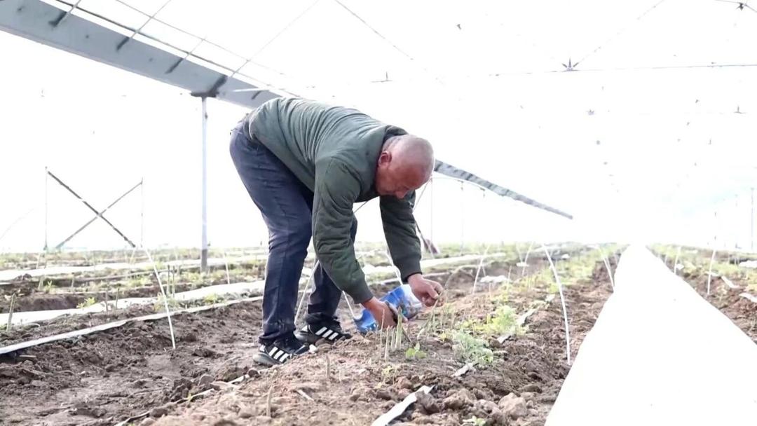 利津县8个特色产品入选“全国名特优新农产品”