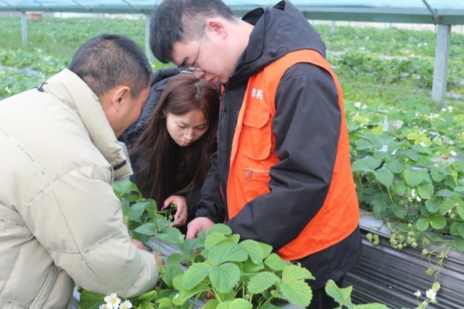 江苏农牧科技职业学院成立综合性实践基地