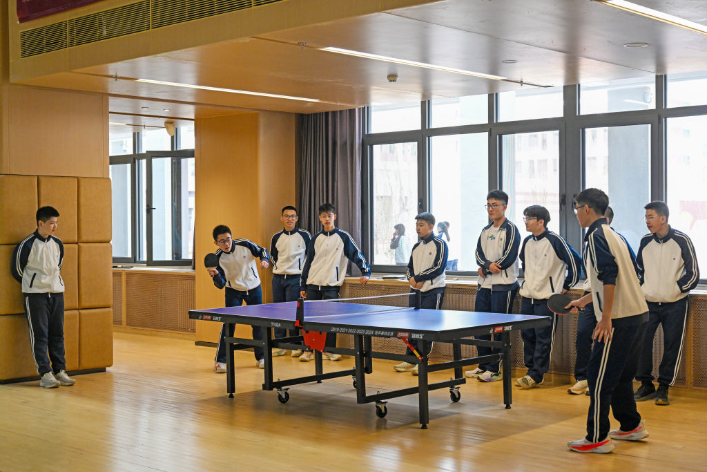 教育协同成效显