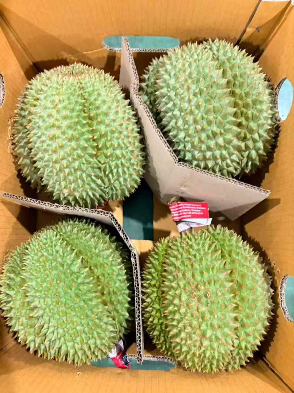 鲜到飞起！中老泰榴莲班列直达成都，泰国榴莲火速上桌