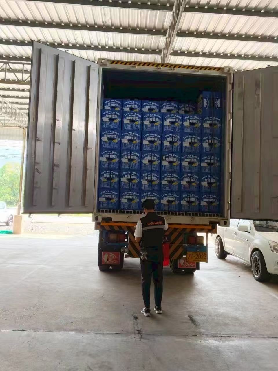 鲜到飞起！中老泰榴莲班列直达成都，泰国榴莲火速上桌