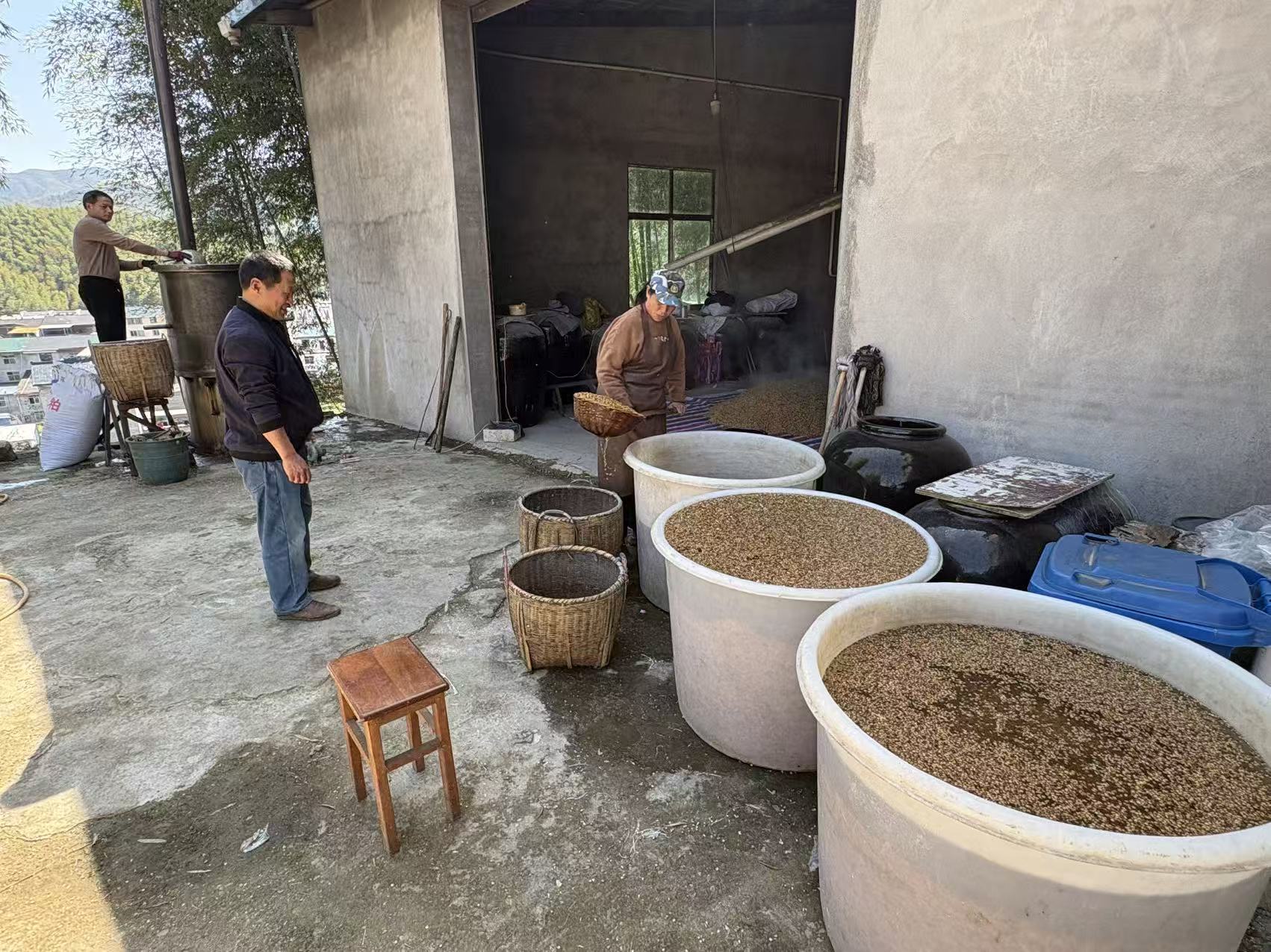 福建浦城种植大户廖小洪：一心一“薏”奔赴致富路