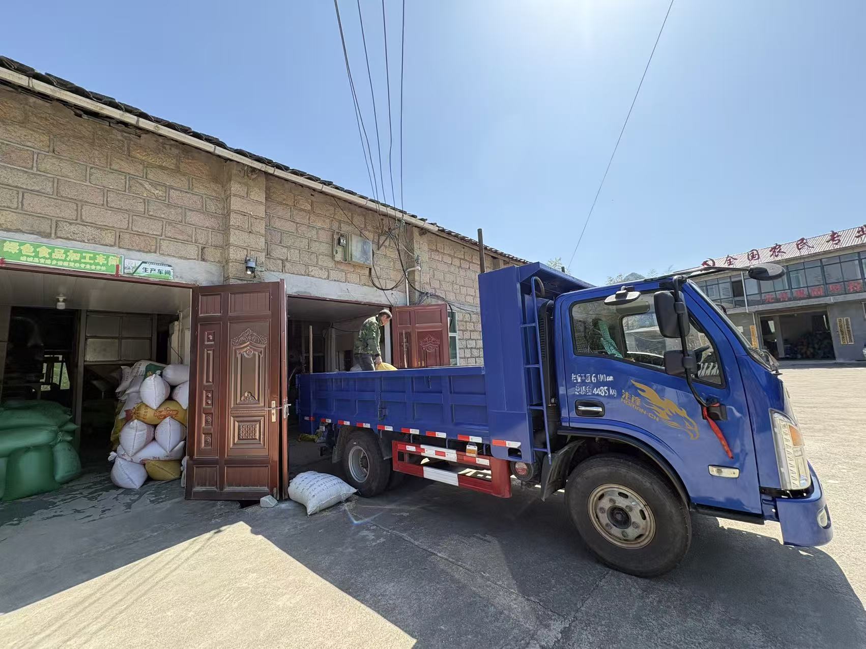 福建浦城种植大户廖小洪：一心一“薏”奔赴致富路