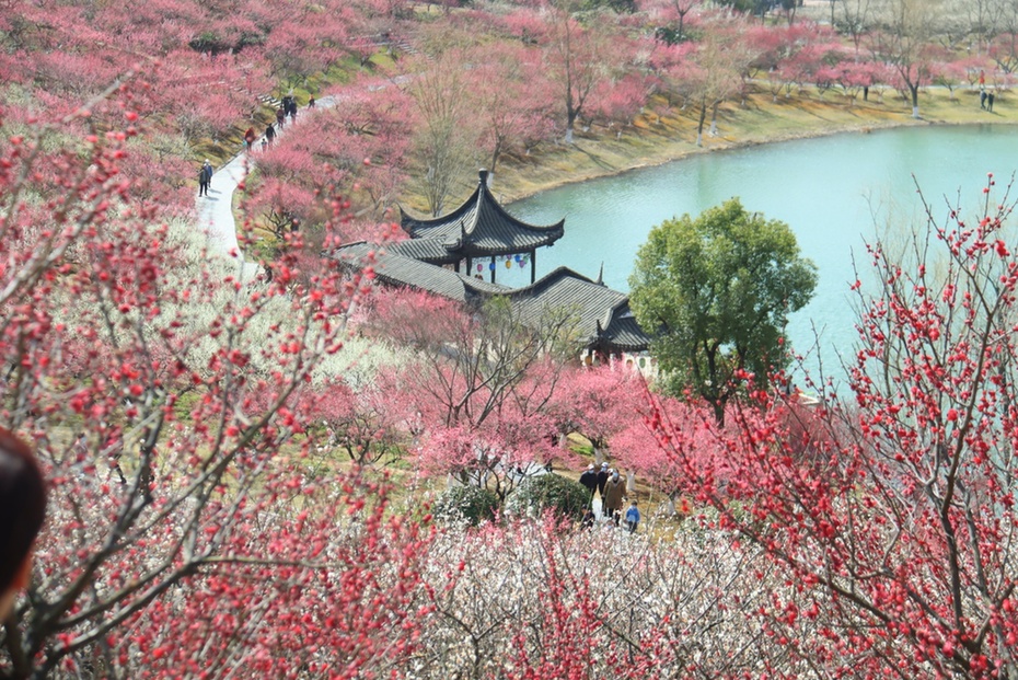江苏张家港：交旅融合绘新景 香山环路串幸福
