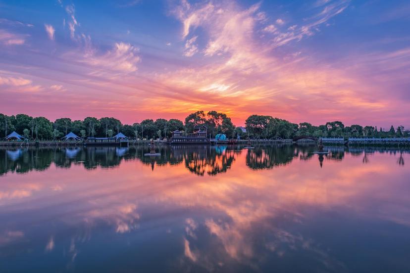 农路串春色 花海醉游人 苏州市吴江盛泽黄家溪线绘就清明踏春新图景