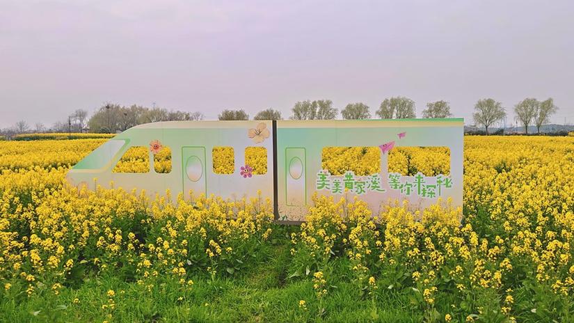农路串春色 花海醉游人 苏州市吴江盛泽黄家溪线绘就清明踏春新图景