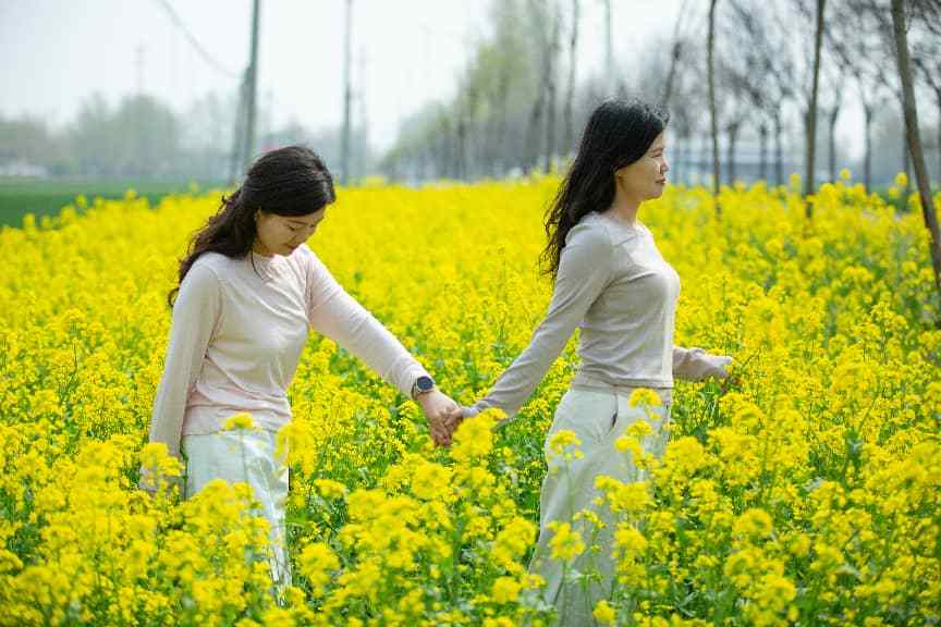 春日冯庄：踏青赏景正当时 产业园区绽新颜