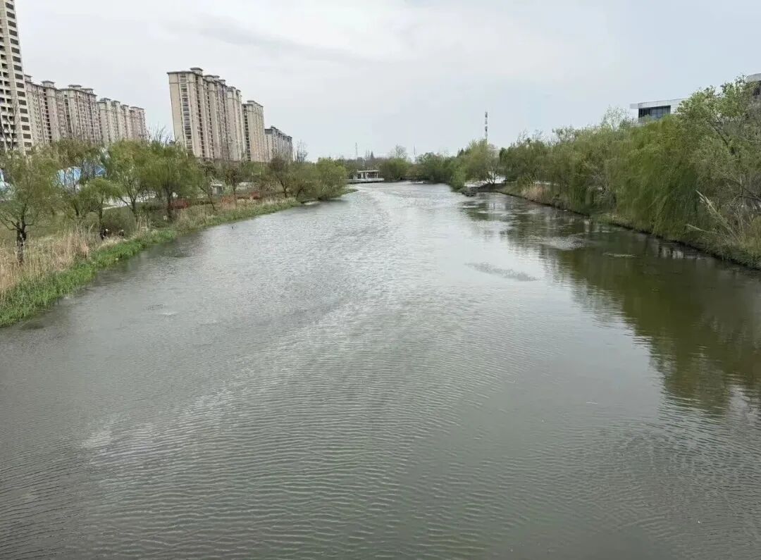 江苏东台高新区：精细化整治水环境 绘就生态宜居画卷