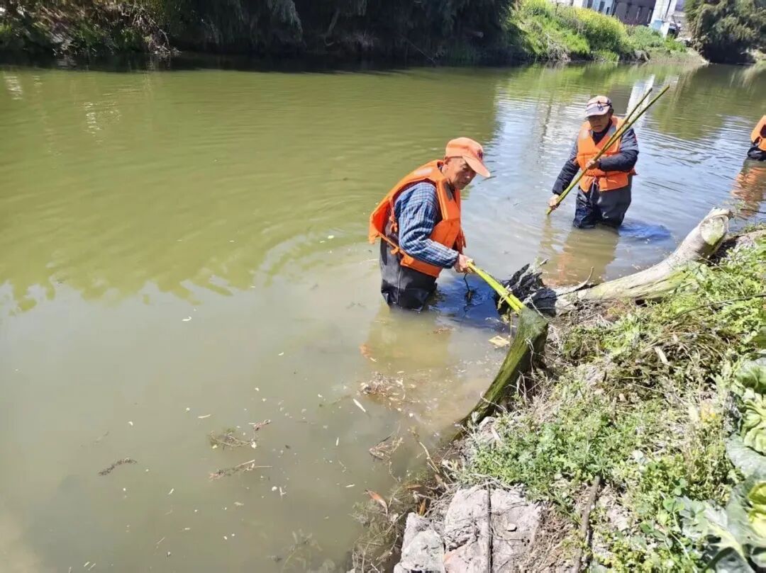 江苏东台高新区：精细化整治水环境 绘就生态宜居画卷