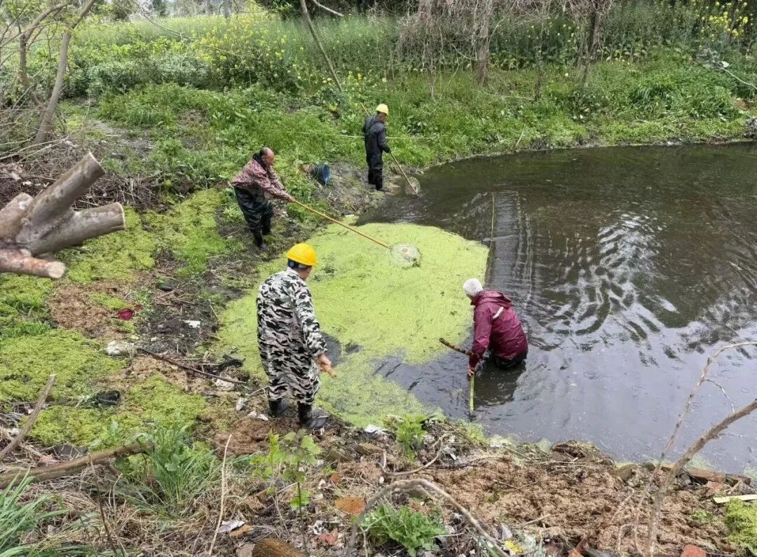 江苏东台高新区：精细化整治水环境 绘就生态宜居画卷