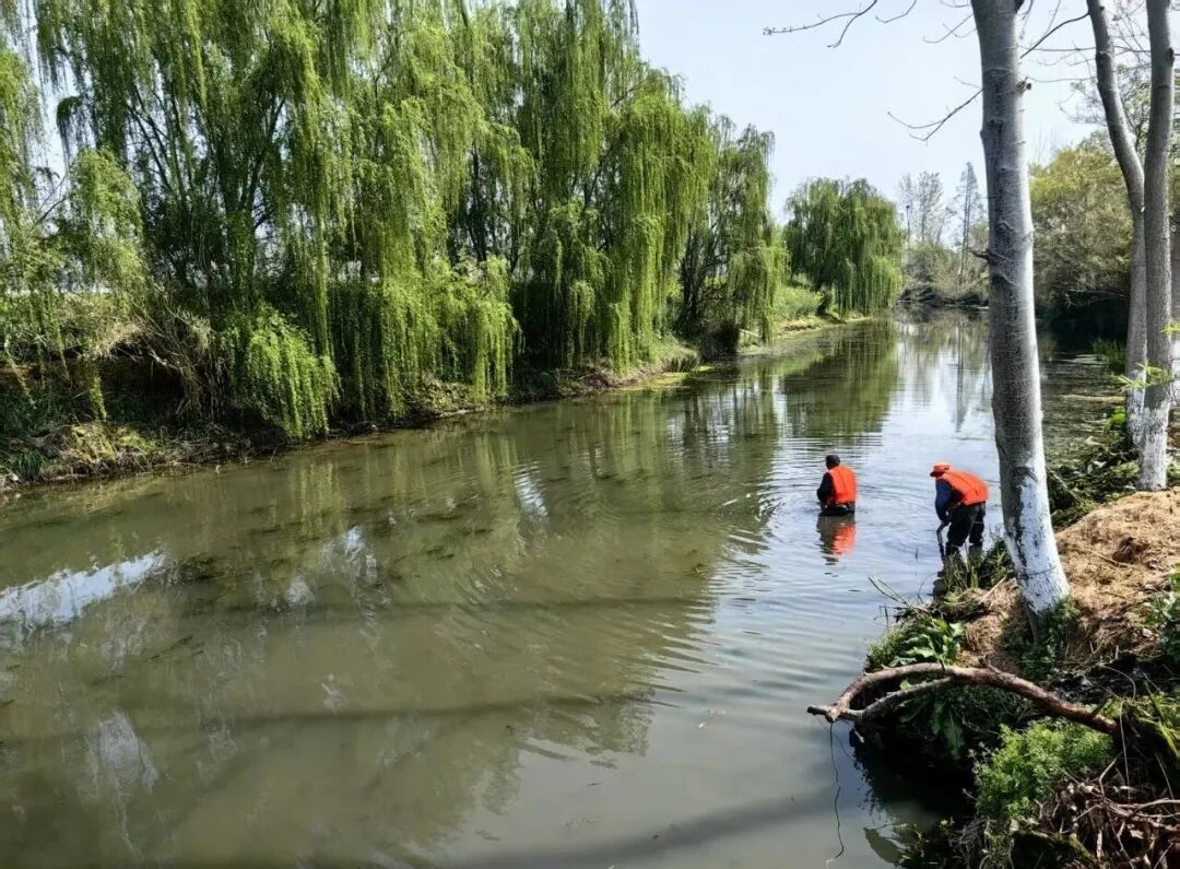 江苏东台高新区：精细化整治水环境 绘就生态宜居画卷