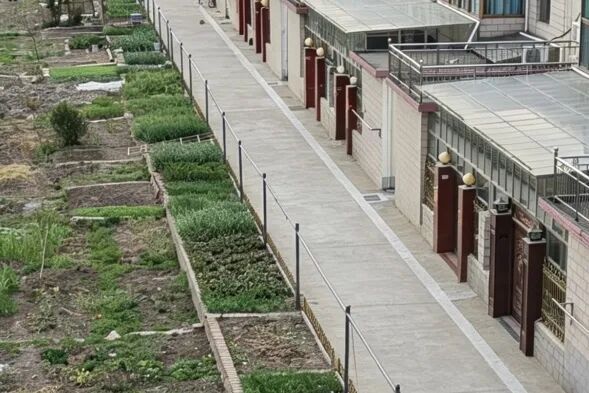 江苏扬州瓜洲村：绣好“方寸活”，解锁乡村“全域美”新模样