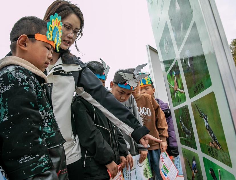 江苏东海：地球日遇上爱鸟周 科普宣传进校园