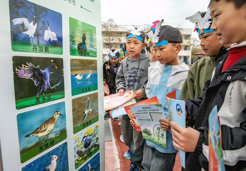 江苏东海：地球日遇上爱鸟周 科普宣传进校园