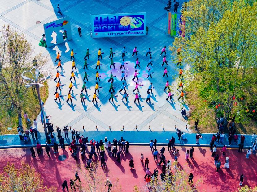 鹤舞樱飞启新程 文旅赋能向未来——2026樱花季鹤壁文旅推介大会圆满落幕