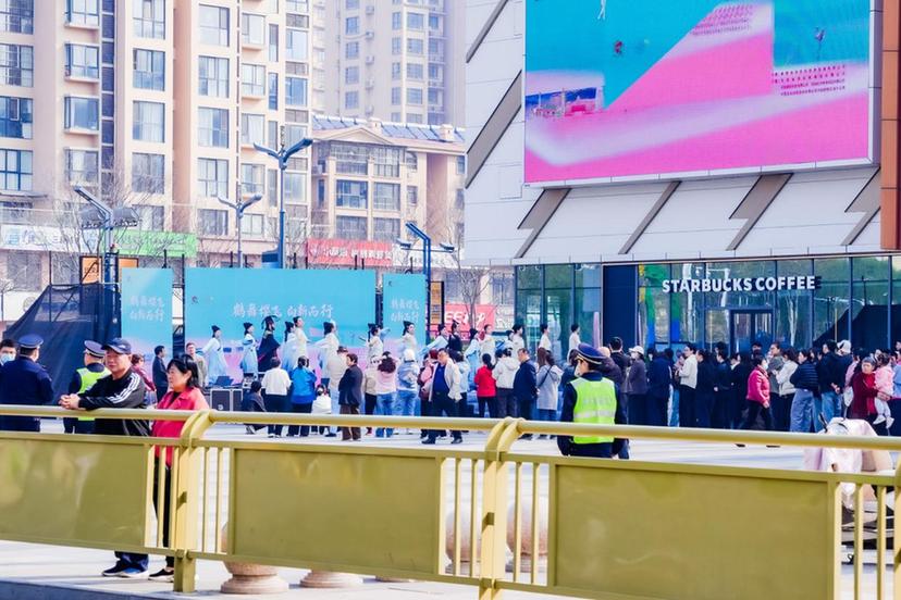 鹤舞樱飞启新程 文旅赋能向未来——2026樱花季鹤壁文旅推介大会圆满落幕