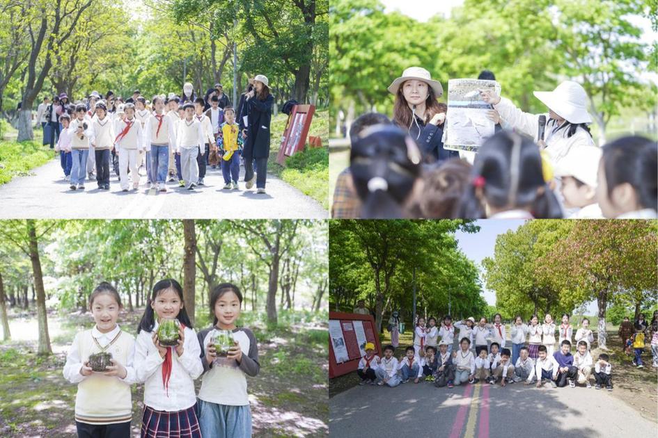 守护飞羽精灵 共绘生态画卷——江苏常州自然资源和规划局新北分局成功举办世界地球日暨爱鸟周主题宣传活动