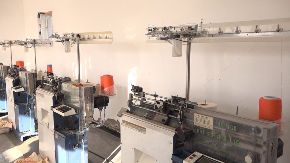 小手套闯出大市场 “双循环”激活振兴路