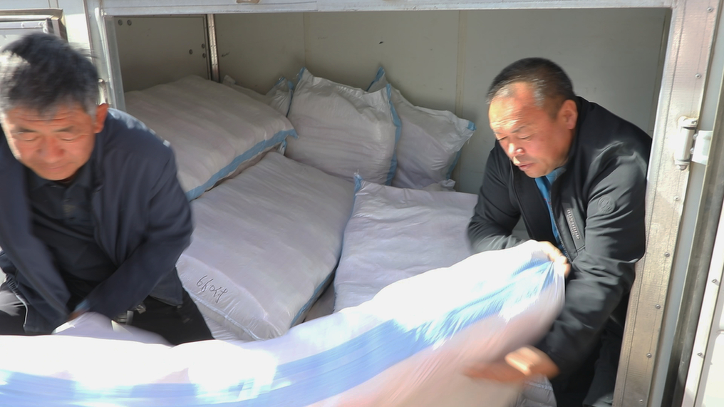 小手套闯出大市场 “双循环”激活振兴路