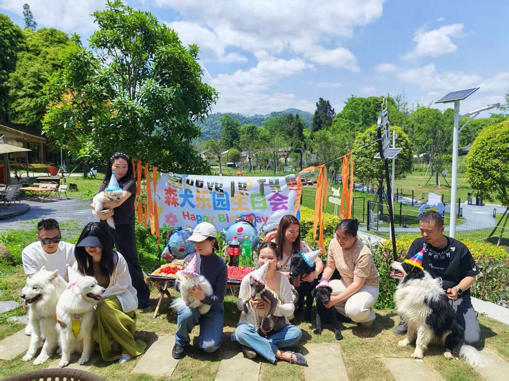四川邛崃：解锁“携宠微度假”新玩法