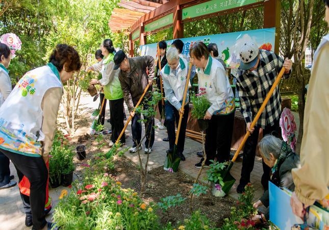 北京通州：“共建微花园 同享社区美”2026年义务植树进社区微花园共建活动举行