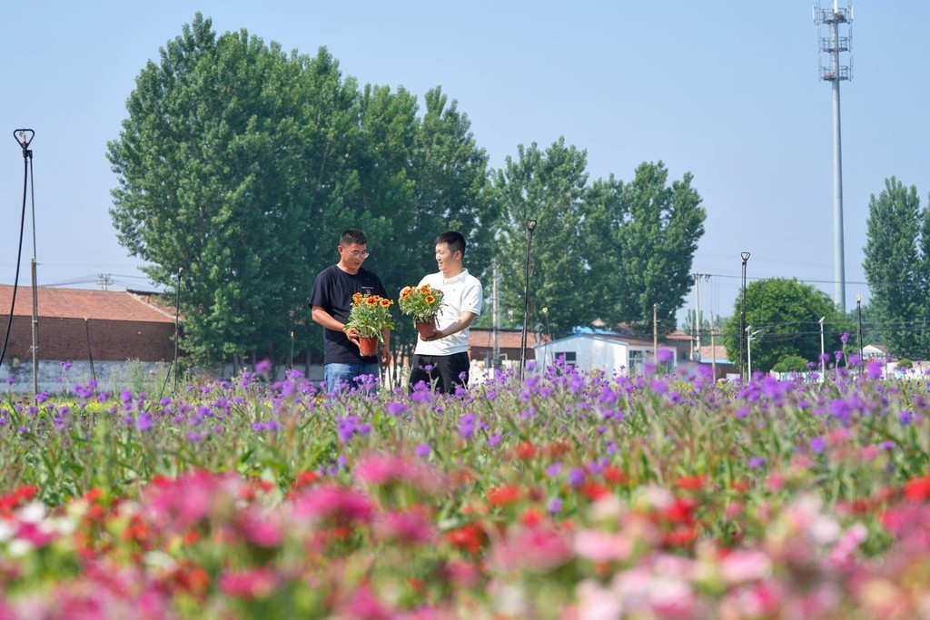 “美丽经济”绽芬芳
