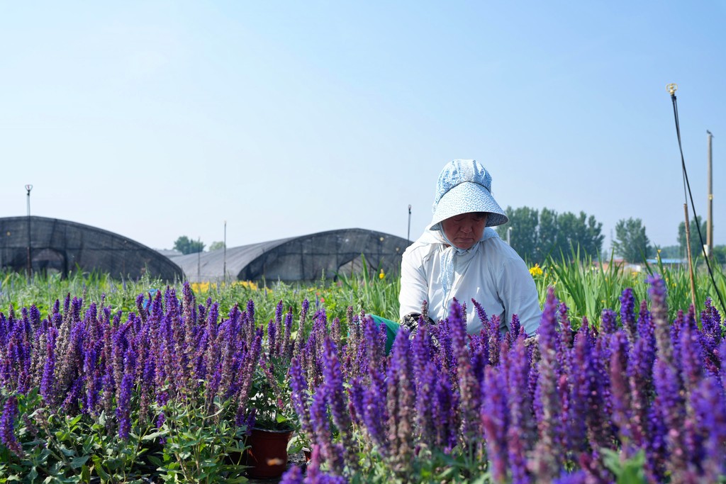 “美丽经济”绽芬芳