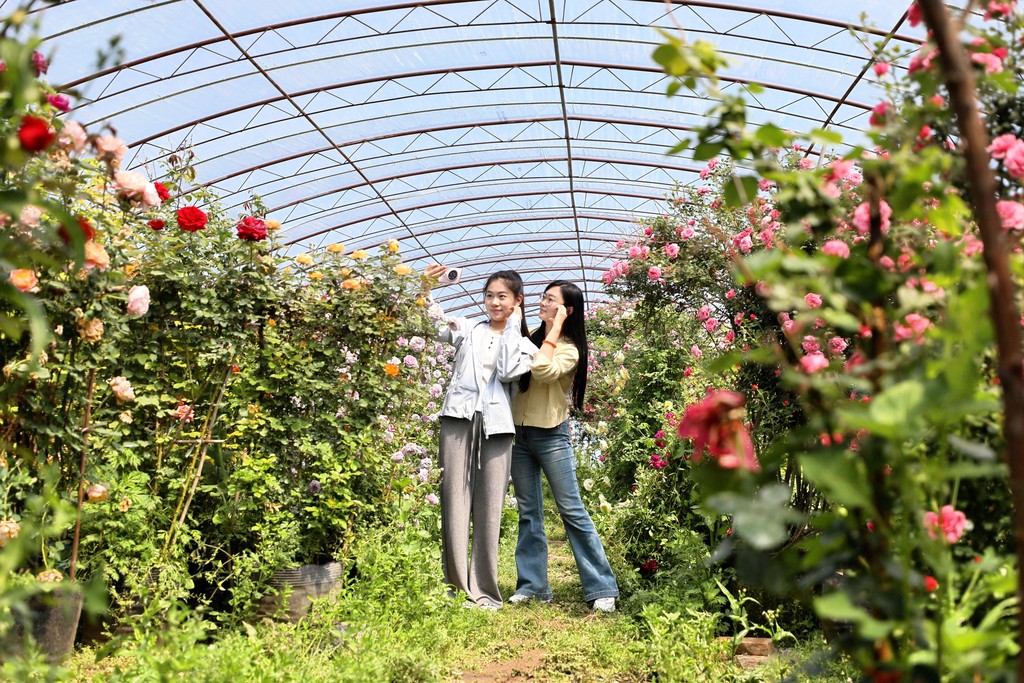 “美丽经济”绽芬芳