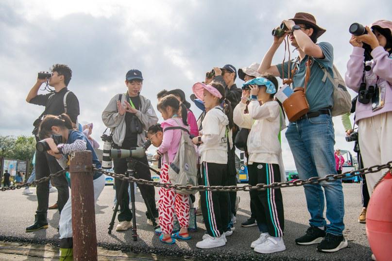 江苏东台沿海经济区：潮起黄海畔 绿绘新沿海