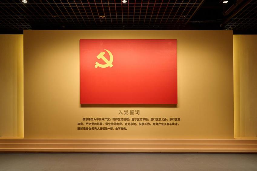 “信仰如炬 光耀征程——党章、党徽、党旗、入党誓词专题展”面向观众开放