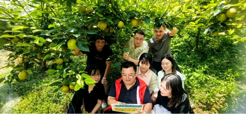 产业兴、治理优、服务暖 重庆万州熊家镇以党建深耕15分钟幸福生活圈