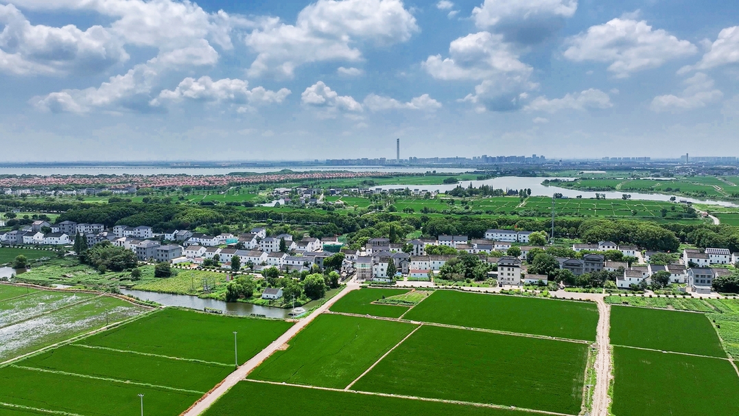 苏州市吴江环鼋荡公路入选“2026年度美丽公路”