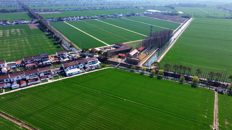 苏州市张家港市“田园风情路”入选中国公路学会“2026年度美丽公路项目”