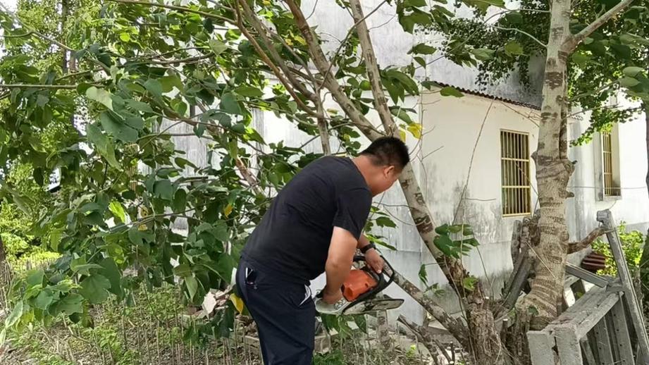 江苏东台梁垛镇：扎根基层末梢 守护群众安宁